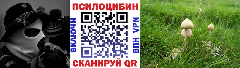 darknet клад  Сертолово  Галлюциногенные грибы Psilocybe  blacksprut ONION 