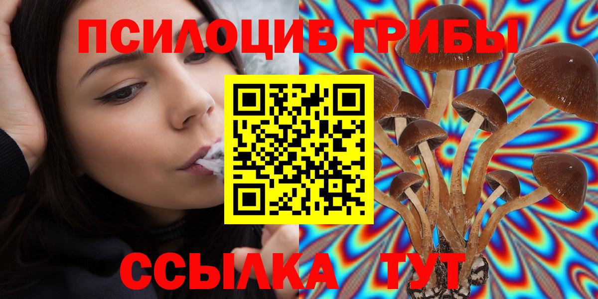 Псилоцибиновые грибы MAGIC MUSHROOMS Сертолово