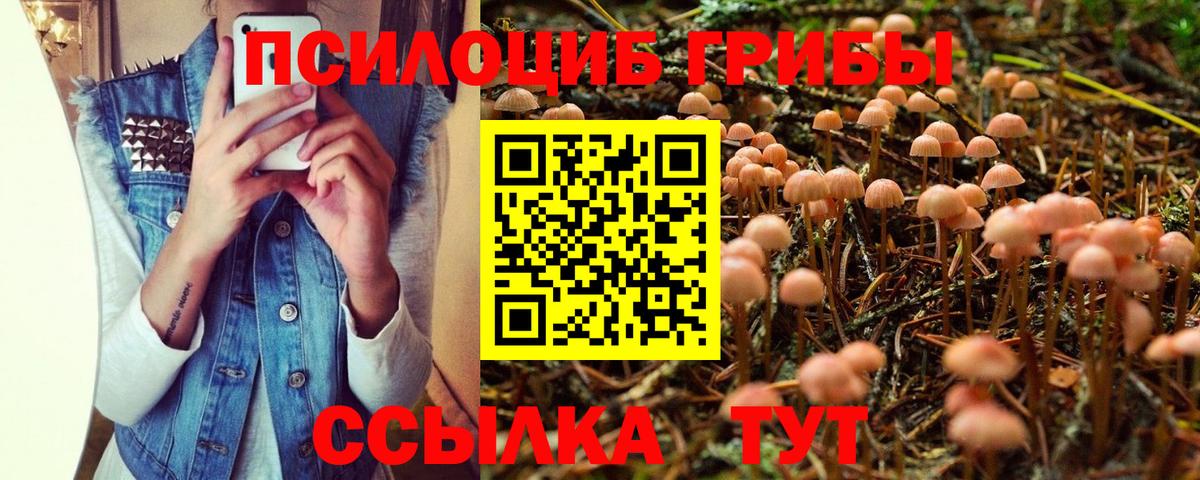 Псилоцибиновые грибы мицелий  Вход с VPN  Сертолово 